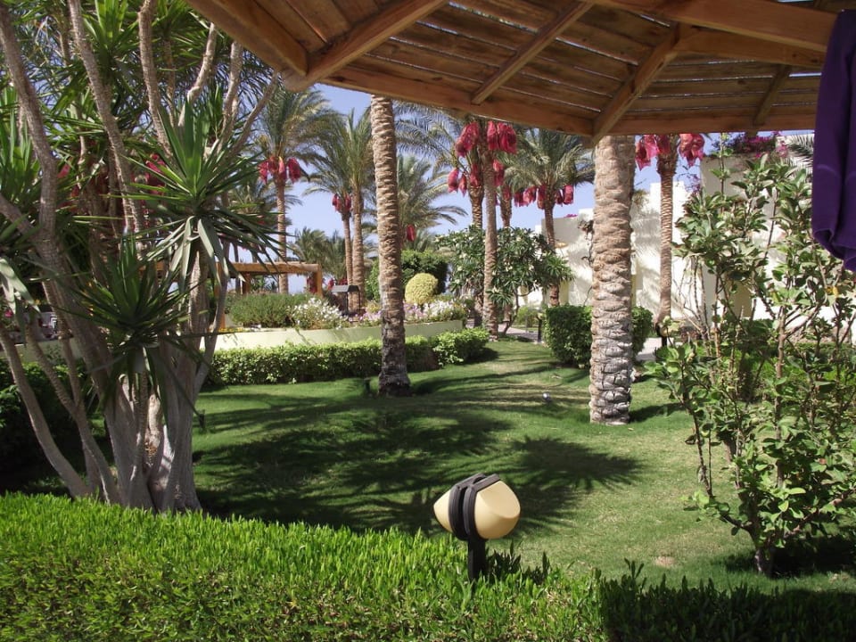 Sehr gepflegt Palm Beach Resort