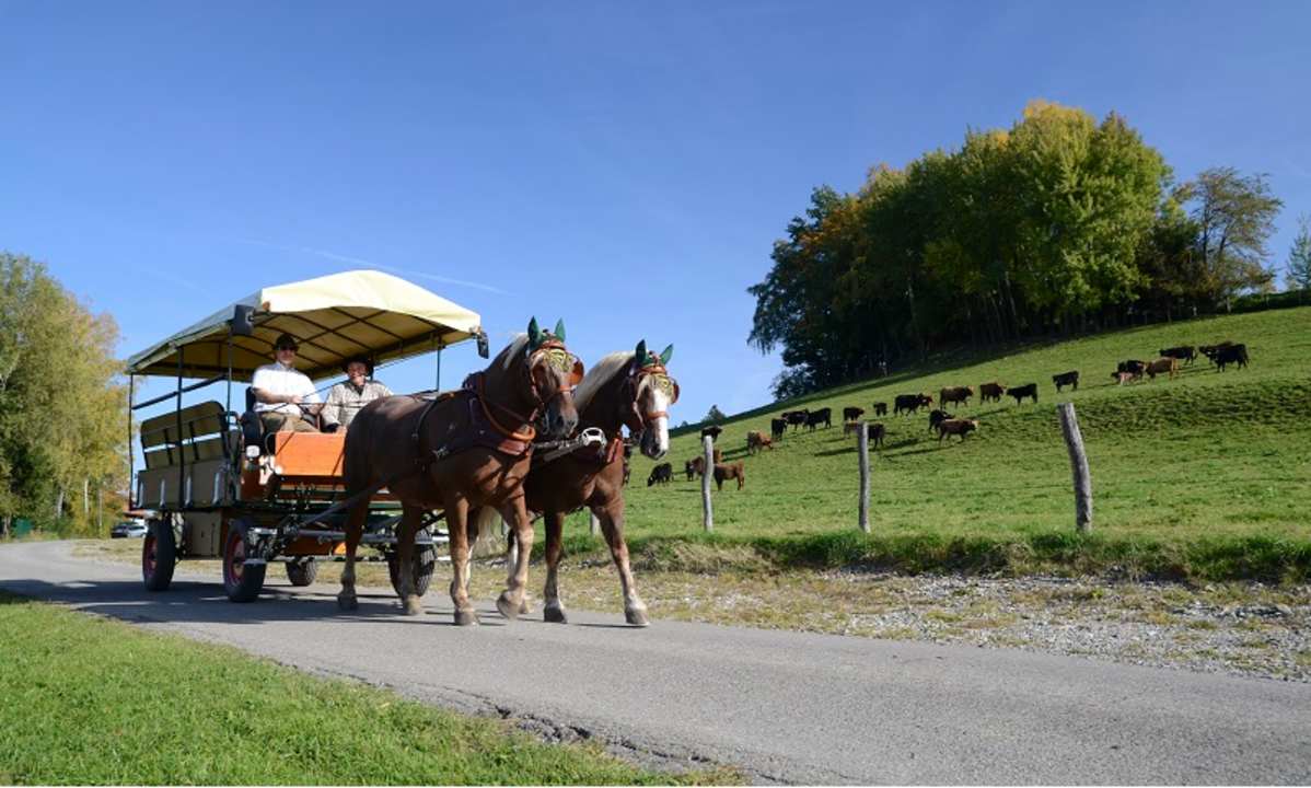 Sonstiges Hofgut Ratzenberg