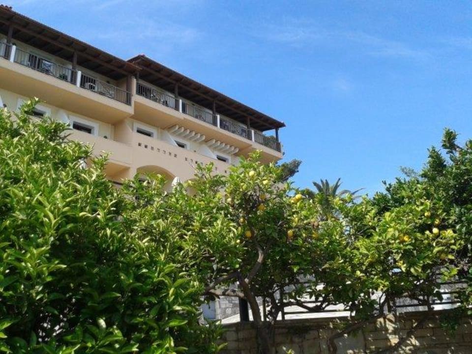 Blick vom Garten auf das Hotel Hotel Forest Park