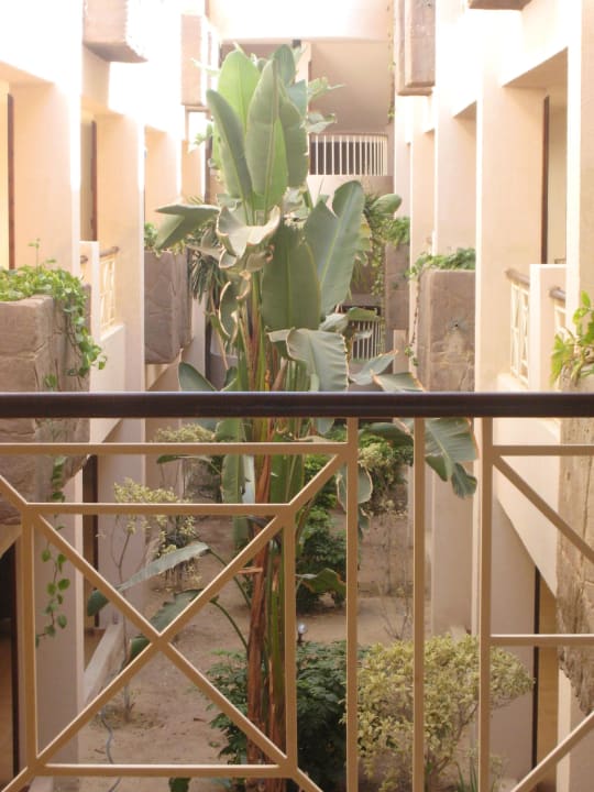 Со второго этажа Prima Life Makadi Resort