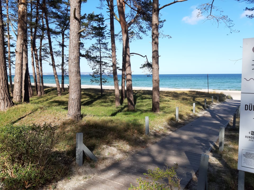 Strand Dorint Seehotel Binz-Therme Binz/Rügen