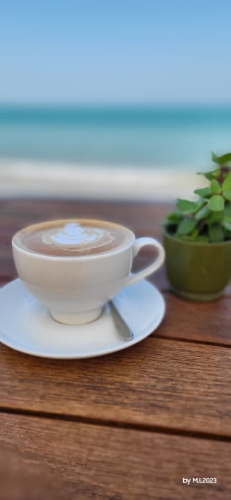 Gastro The Cove Rotana Resort