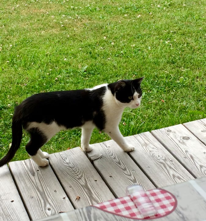 Sonstiges Bergbauernhof Zwiglhof