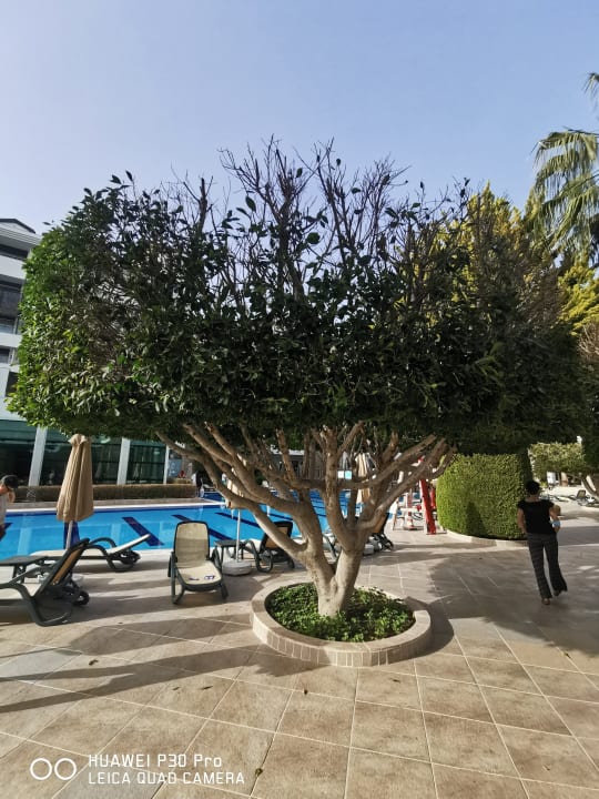 Pool Sporting Hotel Alba