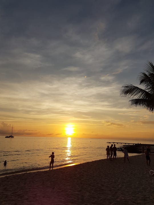 Strand Hotel Viva Dominicus Palace by Wyndham-All Inclusive Resort