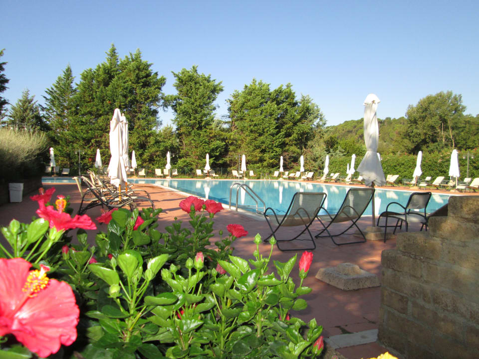 Pool Fattoria La Steccaia