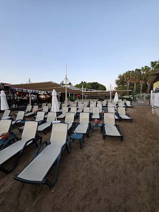 Strand Calyptus Kirman Premium
