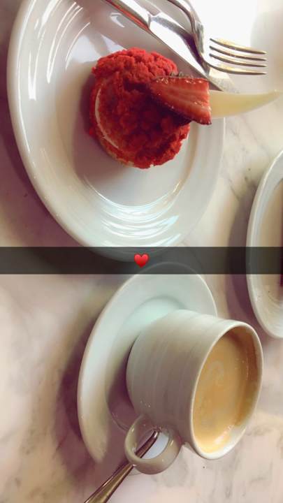 Gastro Acanthus Cennet Barut Collection