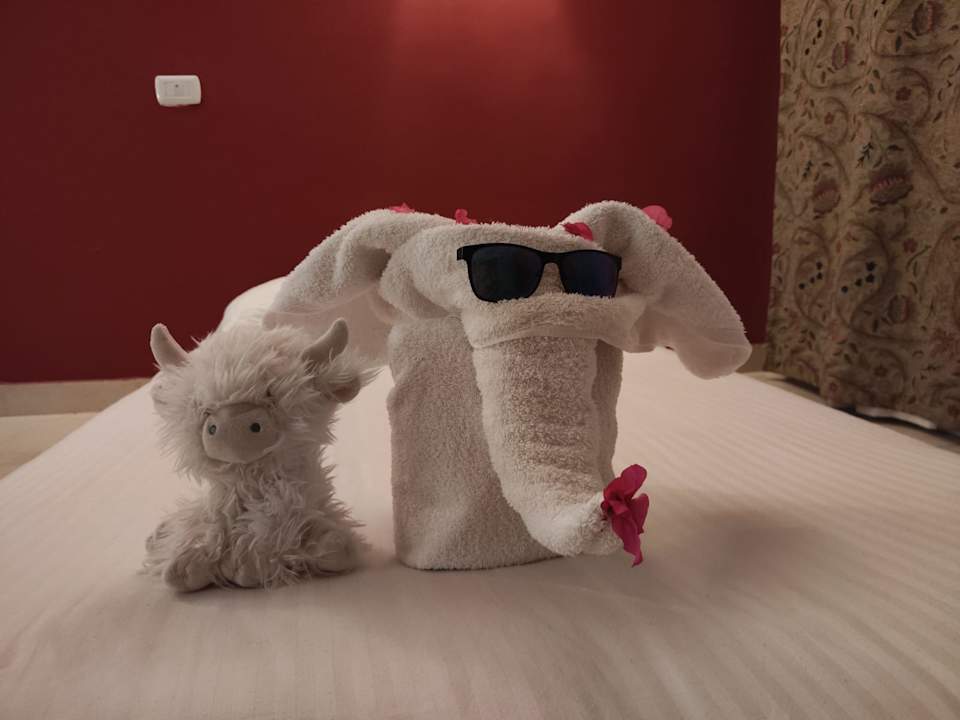 Zimmer Jasmine Palace Resort & Spa