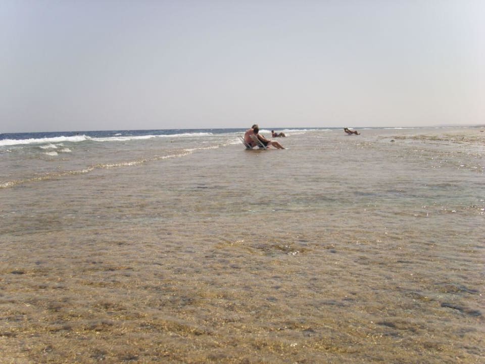 Hotelstrand Serenity Alpha Beach