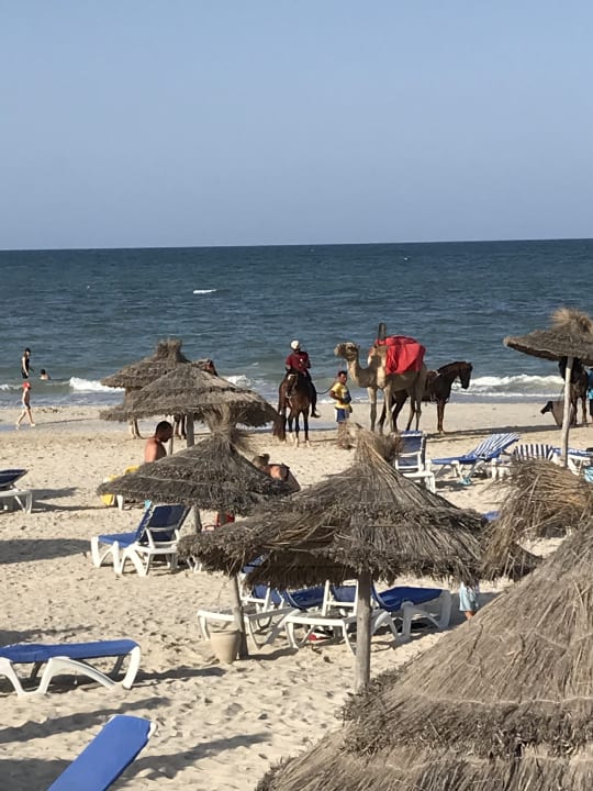 Strand Calimera Yati Beach