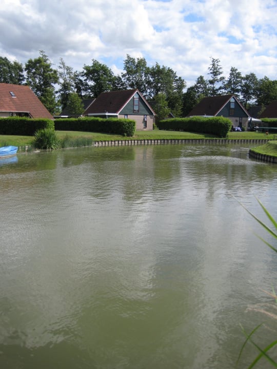 Blick auf die Bungalows Buitenplaats Hof van Zeeland