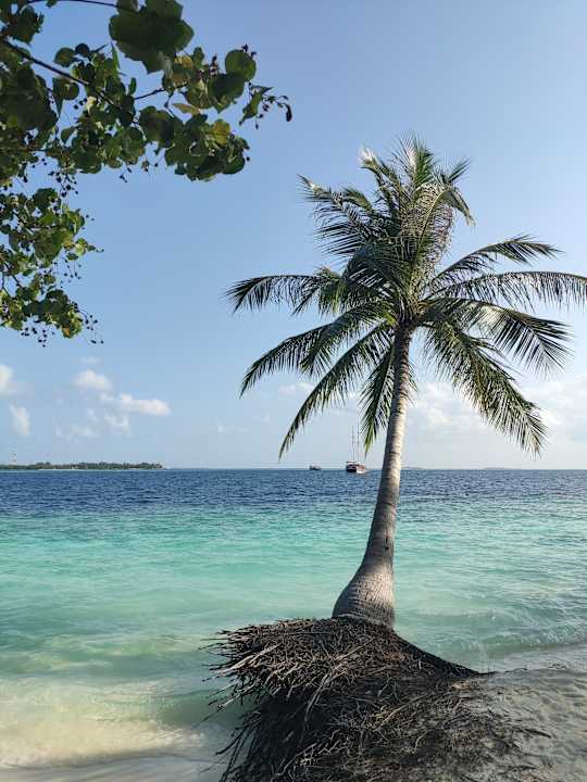 Ausblick Vilamendhoo Island Resort & Spa