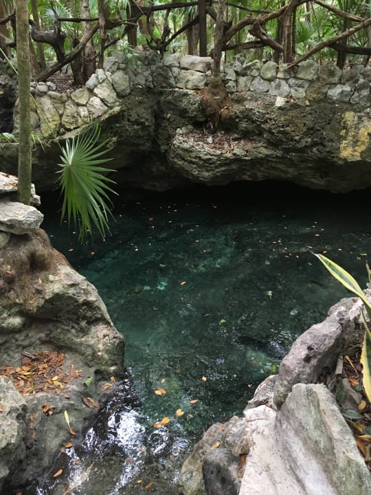 Gartenanlage Sandos Playacar Beach Resort