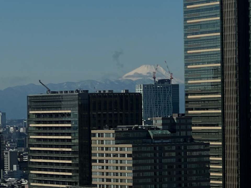 Ausblick ANA InterContinental Tokyo