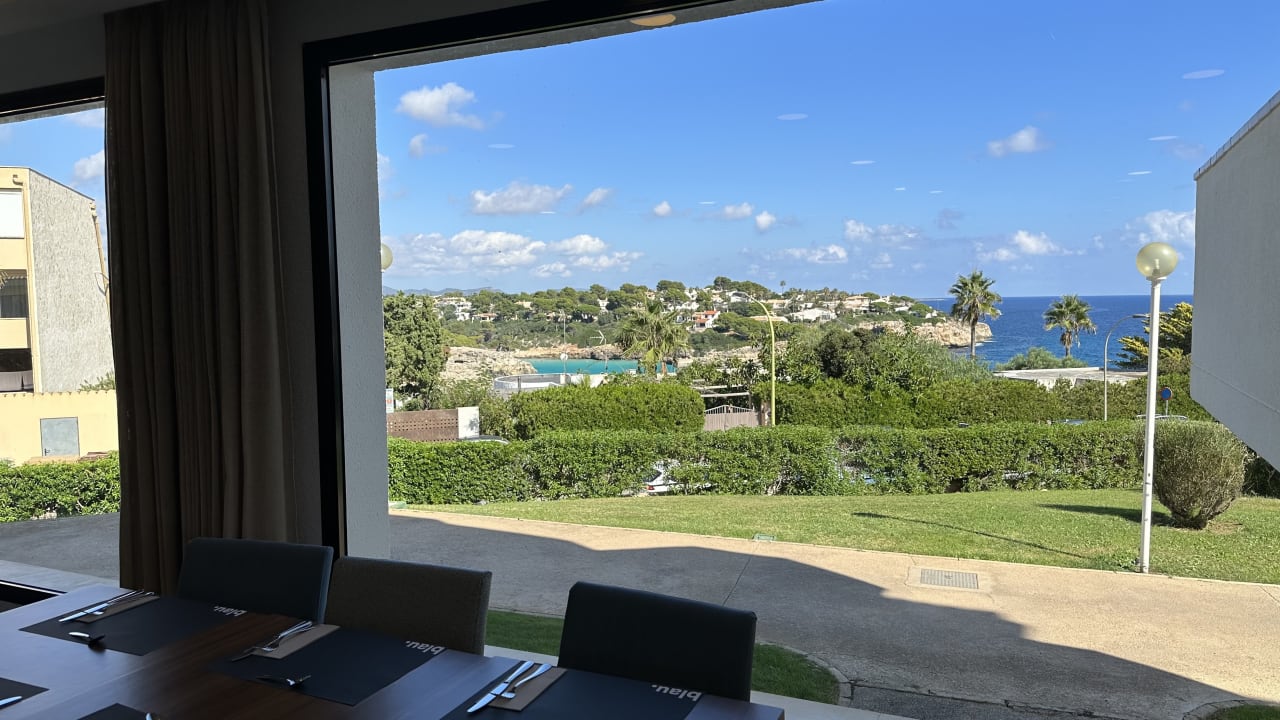 Gastro blau punta reina