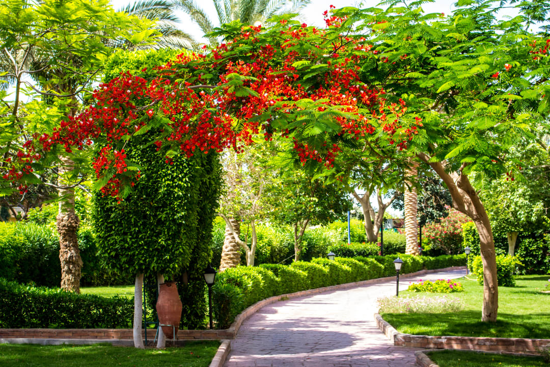 Gartenanlage Golden Beach Resort