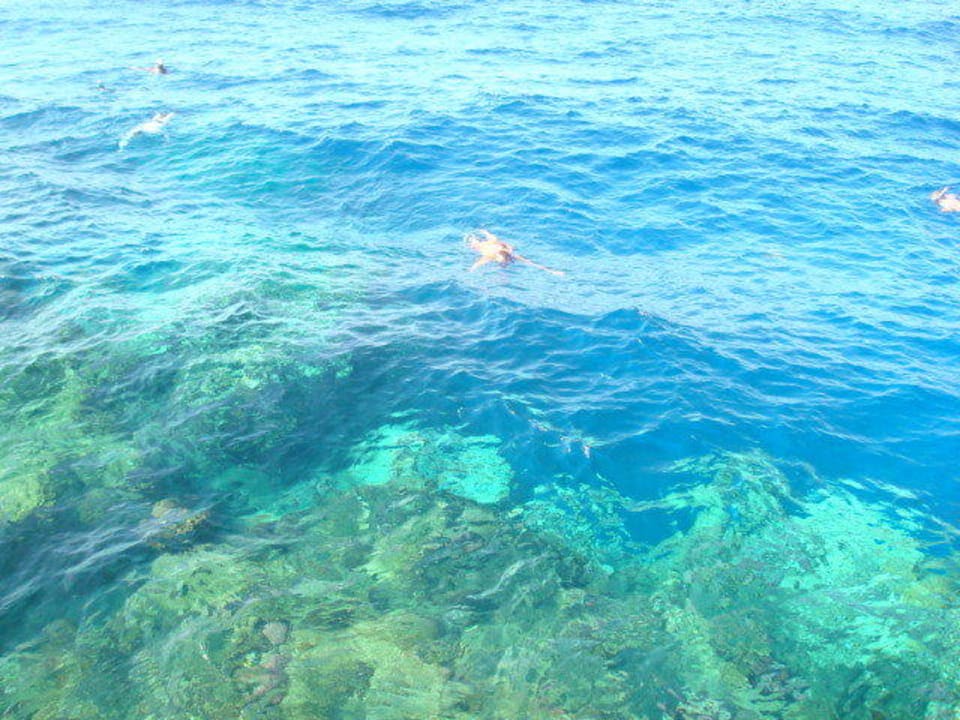 Morze Three Corners Sea Beach Resort