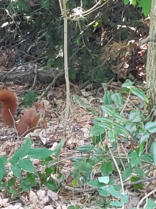 Sonstiges Familienpark Senftenberger See