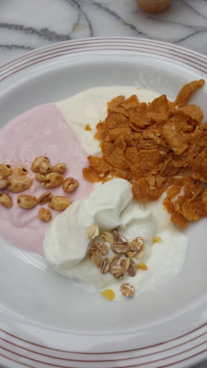 Joghurt Auswahl Center Parcs Park Nordseeküste