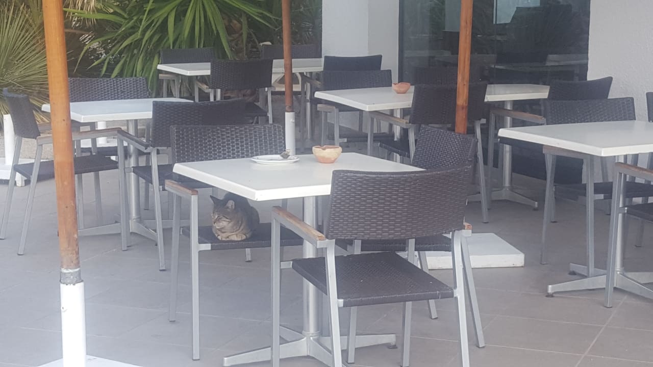 Restaurant Nozha Beach Resort & Spa