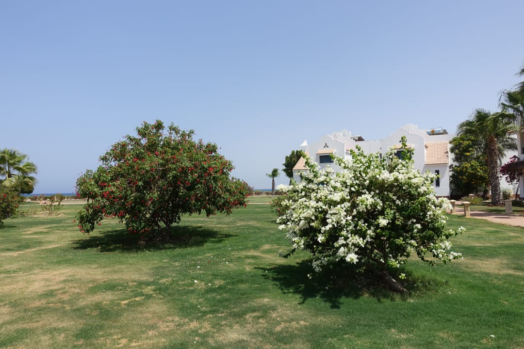 Gartenanlage Lahami Bay Beach Resort