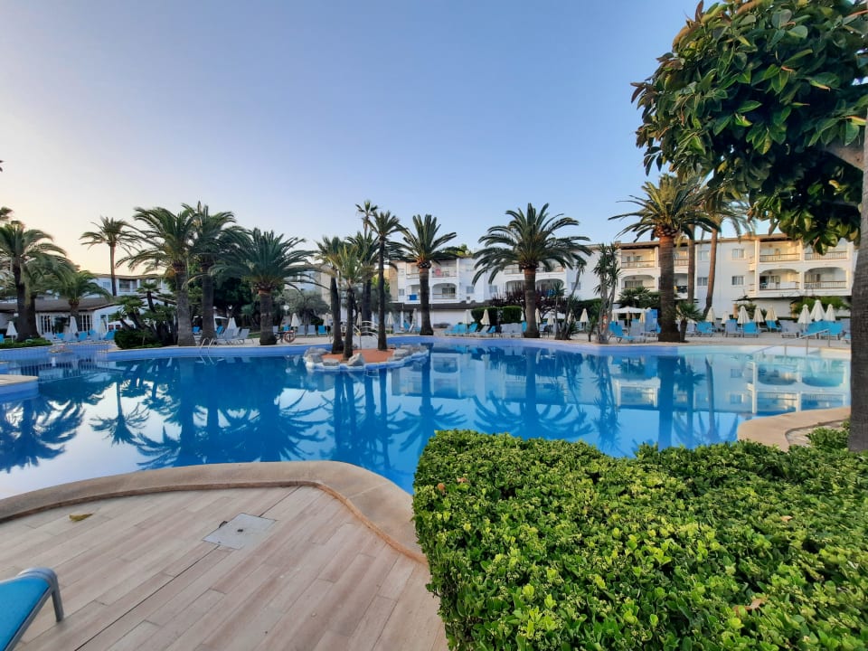 Pool Alcudia Garden Aparthotel