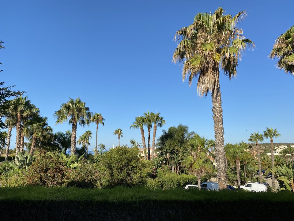 Gartenanlage Hotel Clube Porto Mos