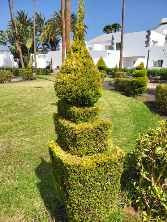 Gartenanlage Hotel Riu Paraiso Lanzarote