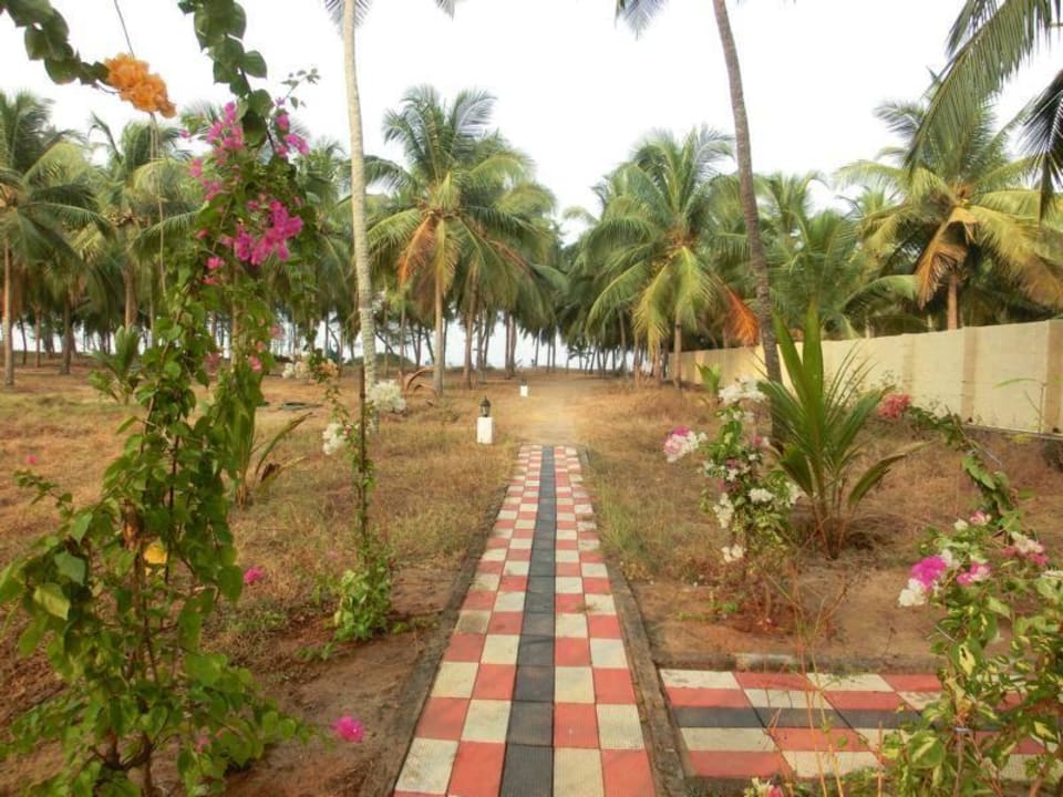 Auf dem Weg zum Strand Meiveda Ayurveda Beach Resort
