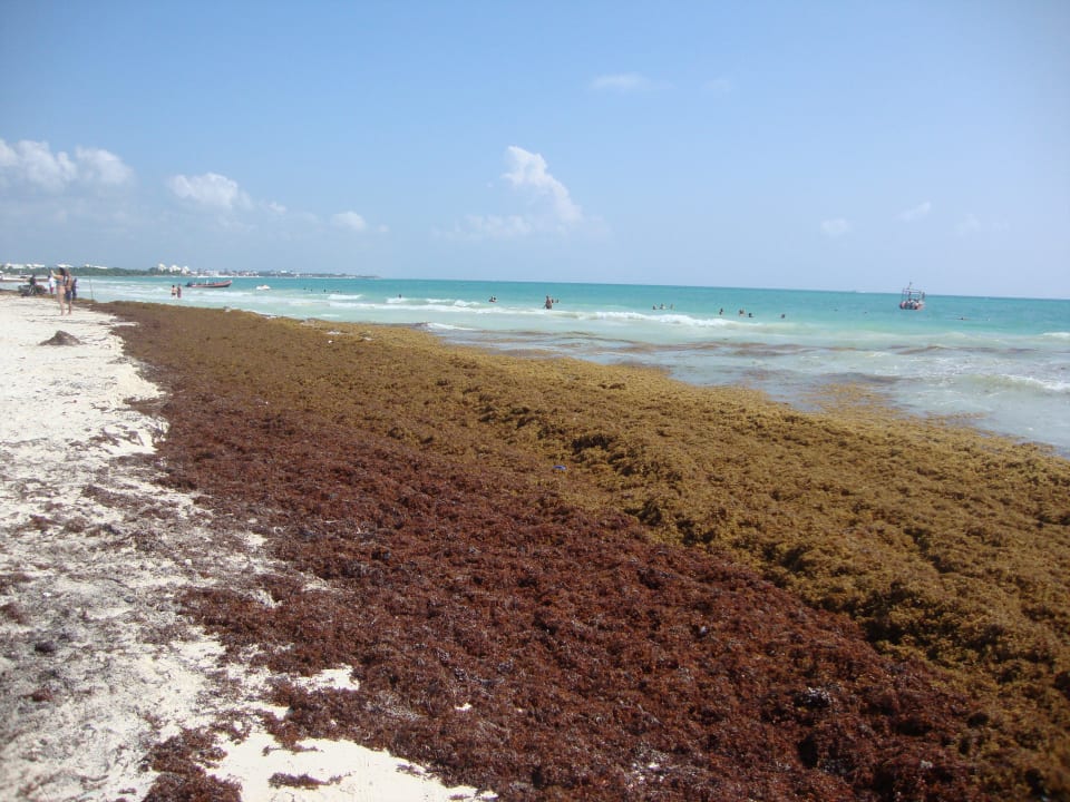 Hotel Catalonia Playa Maroma Catalonia Playa Maroma