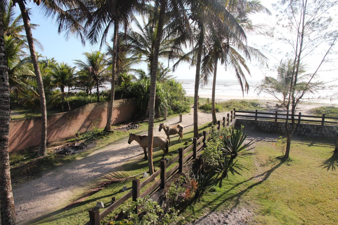 Besucher am frühen Morgen Bahiastrandhaus