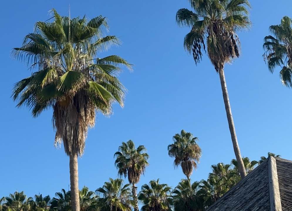 Strand Side Stella Elite Resort & Spa