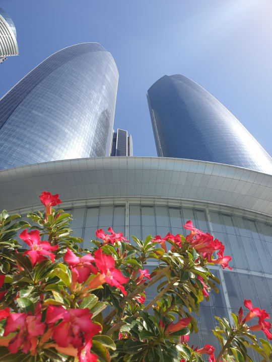 Gartenanlage Conrad Abu Dhabi Etihad Towers