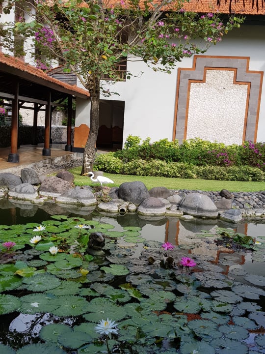 Garten Grand Hyatt Bali