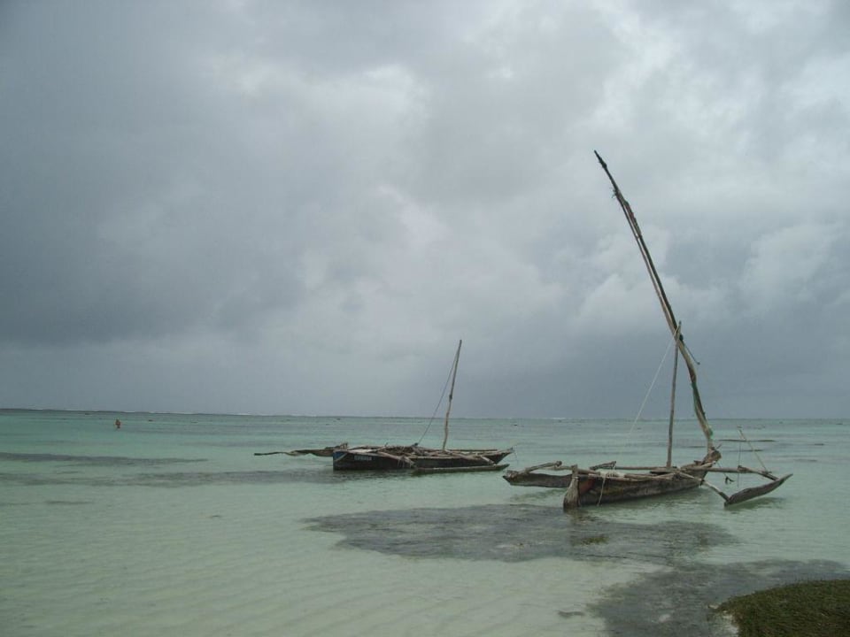 Blick aufs Meer Neptune Paradise Beach Resort & Spa