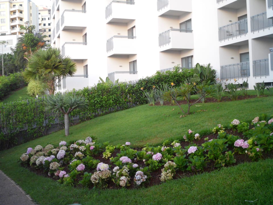 Gartenanlage Hotel Baia Azul