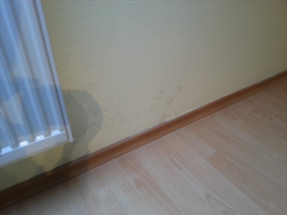 Flecken an der Wand Gästehaus am Wasserpark