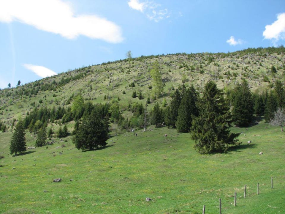 Berg hinter dem Hotel Oberjoch - Familux Resort