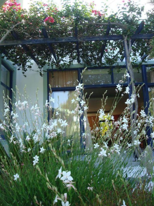 Gepflegter Eingangsbereich Hotel Esperia