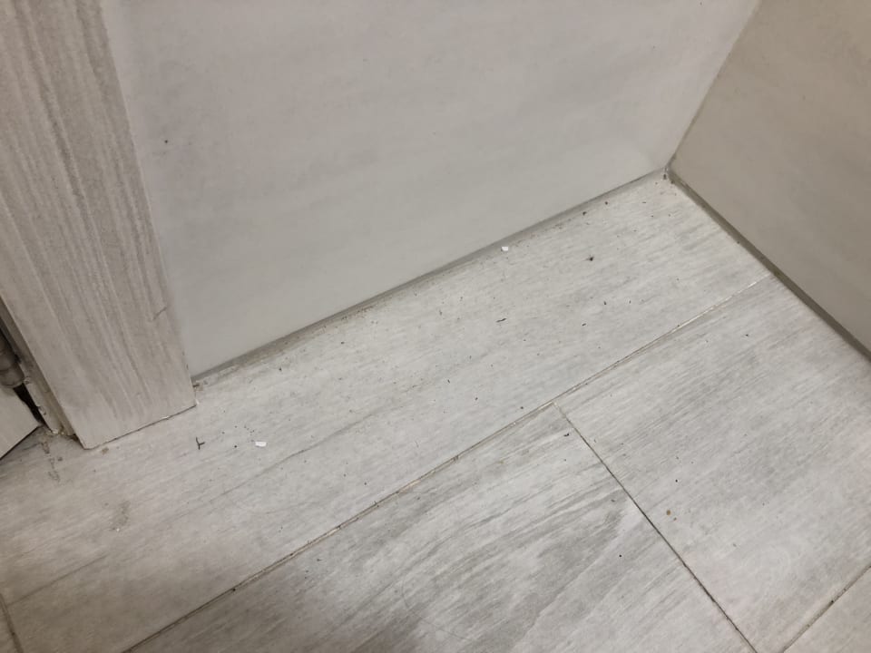 Zimmer Alcudia Garden Aparthotel