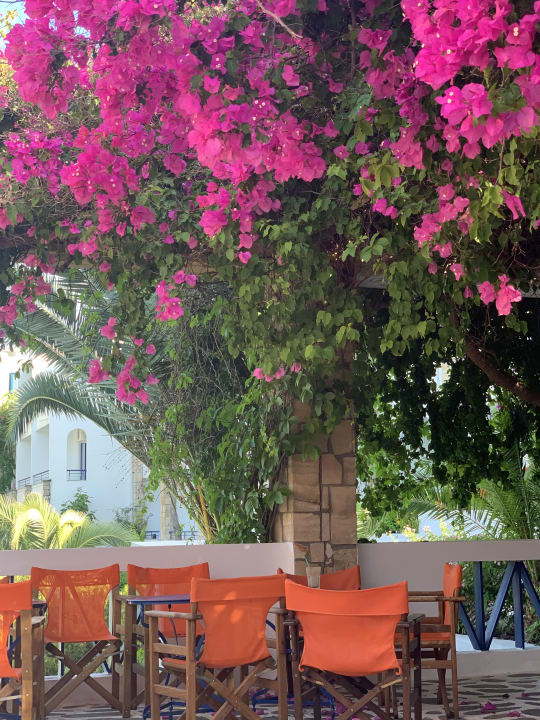 Sonstiges Ekaterini Hotel