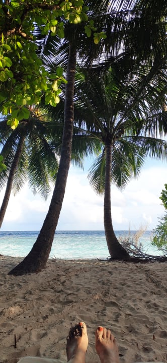 Ausblick Embudu Village