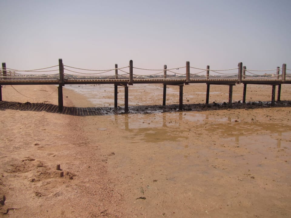 Steg führt zum Schnorcheln Stella Beach Resort & Spa Makadi Bay