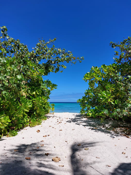 Zimmer Summer Island Maldives