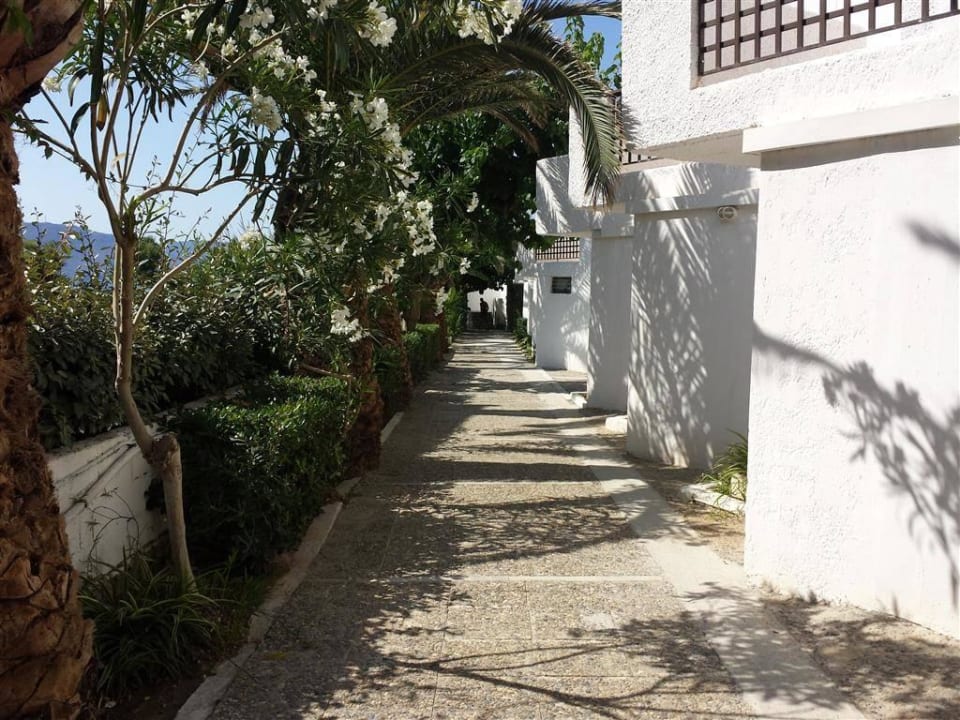 Rückseite HARPIN Happy Days Beach Hotel