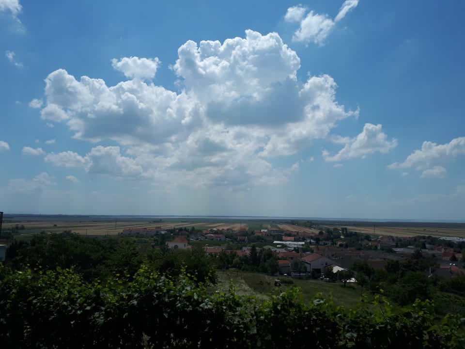 Ausblick Weingut & Gästehaus zum Seeblick - Familie Sattler