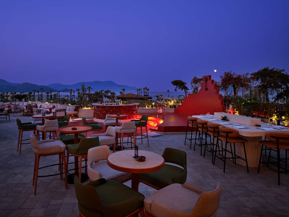 Gastro XO Cape Arnna