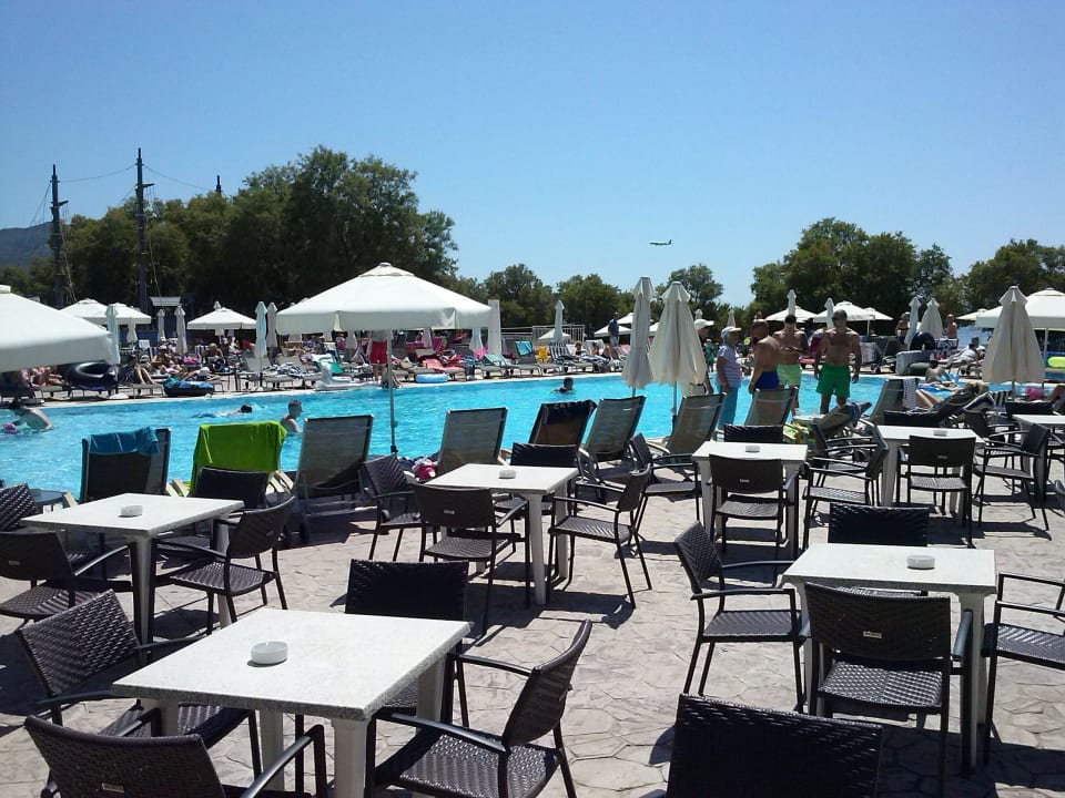 Basen Domes Aulūs Zante, Autograph Collection