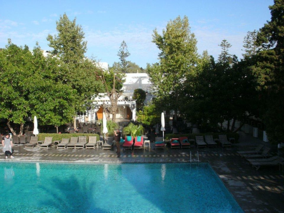 Pool mit Showbühne The Orangers Beach Resort and Bungalows